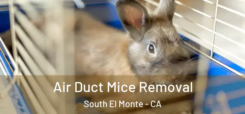 Air Duct Mice Removal South El Monte - CA