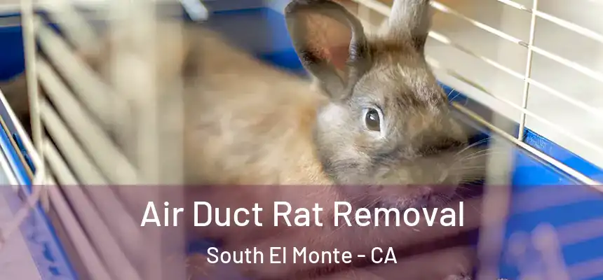  Air Duct Rat Removal South El Monte - CA