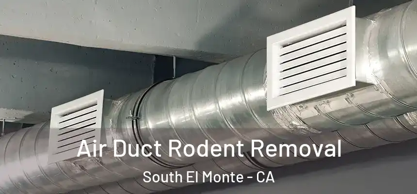  Air Duct Rodent Removal South El Monte - CA