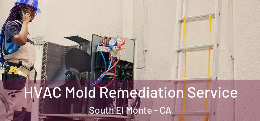  HVAC Mold Remediation Service South El Monte - CA
