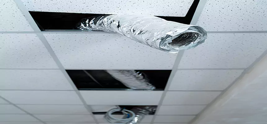 Our Air Duct Pet Hair Removal Services in South El Monte, CA