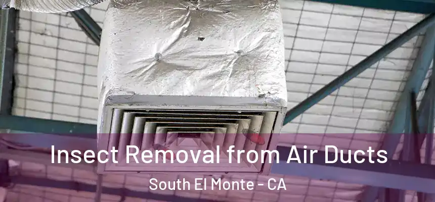 Insect Removal from Air Ducts South El Monte - CA