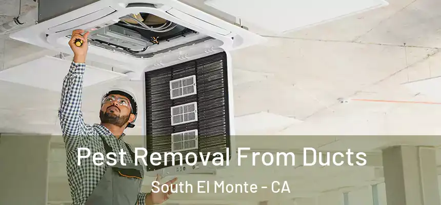  Pest Removal From Ducts South El Monte - CA