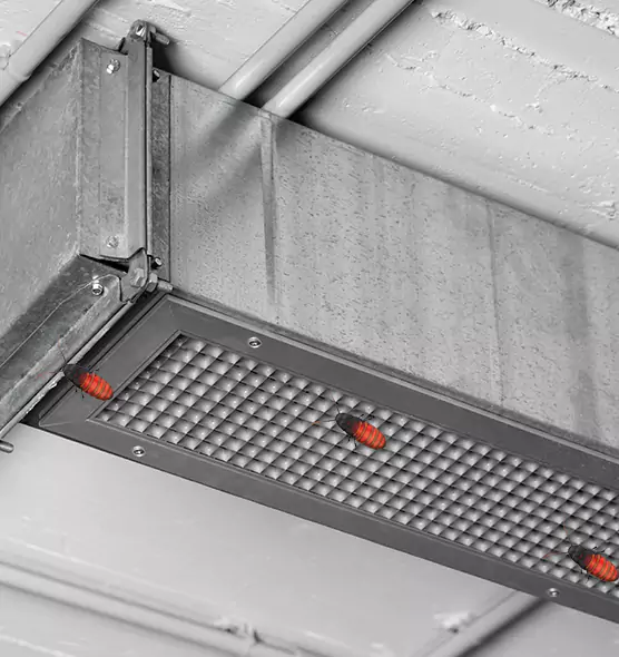 About Air Duct Cockroach Removal in South El Monte, CA