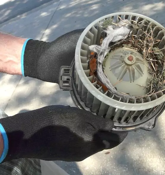 About Air Duct Mice Removal in South El Monte, CA