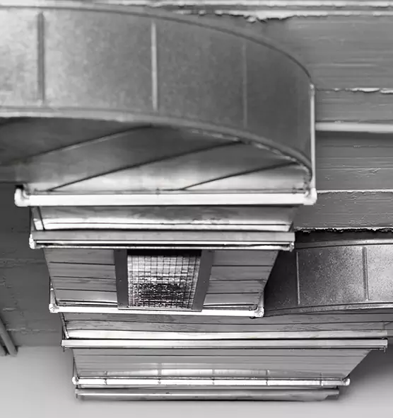 Professional Air Duct Pet Hair Removal in South El Monte, CA